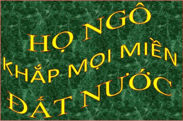 Ho Ngo Mm Dn D